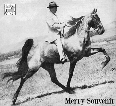 Merry Souvenir