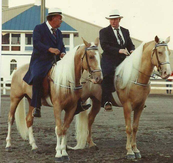 Boyds Gold Flame and Sir Josephs Rocker