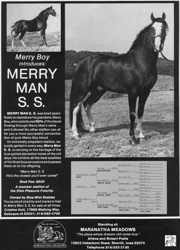 Merry Man S.S.